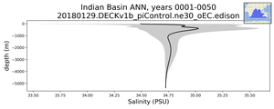 Indian Basin Salinity vs depth