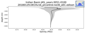 Indian Basin Salinity vs depth
