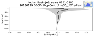 Indian Basin Salinity vs depth